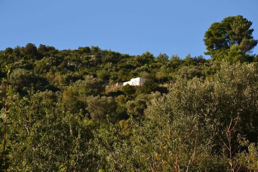 Apartmán La Lamia 1864 By Rentbeat Ostuni Exteriér fotografie